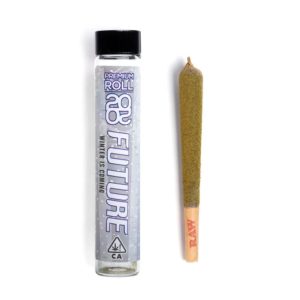 Winter is Coming Pre Roll - 2020 Future