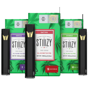 Stiiizy Disposable 1g