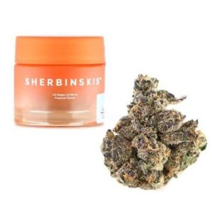 Sherbinskis Premium Indoor Flower
