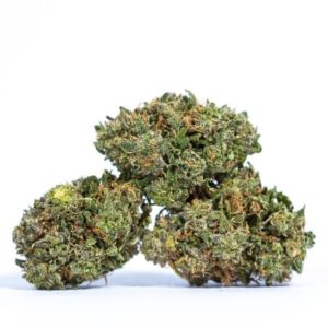 AK-47 Marijuana Strain - Premium