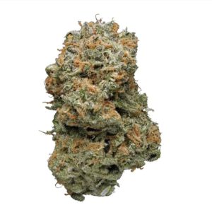 Blue Monkey - Premium