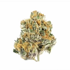 Tropicana - Premium