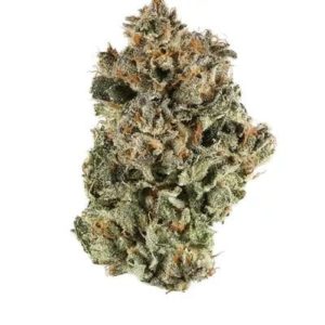 Sunset Sherbert - Top Shelf