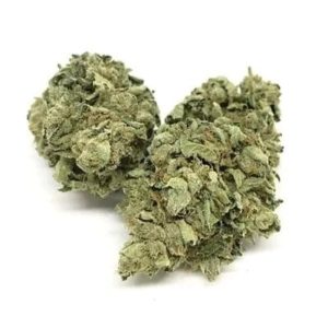 Chem D.O.G. - Premium