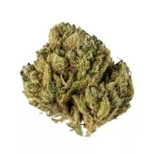 Alien OG - Premium