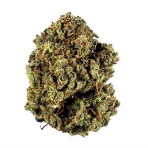 Laughing Buddha - Premium