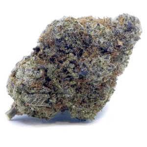 Blue Biscotti - Exotic