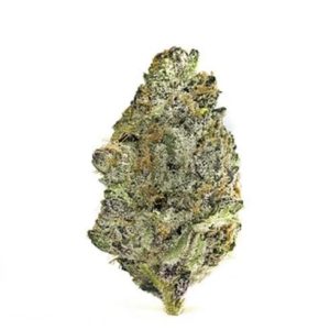 Super Boof - Premium