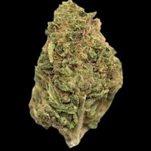 Northern Lights - Top Shelf