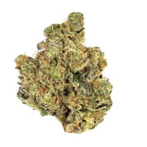 Sherbert - Premium
