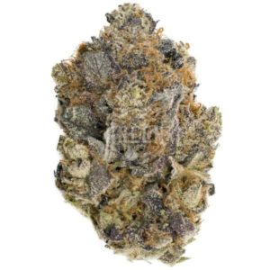 Original Gorilla Glue - Exotic