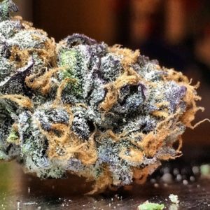 Grape Ape - Premium