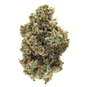 Gorilla Breath - Premium
