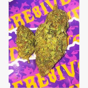 Orange Daiquiri - Premium