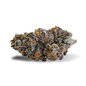 Purple Punch - Exotic