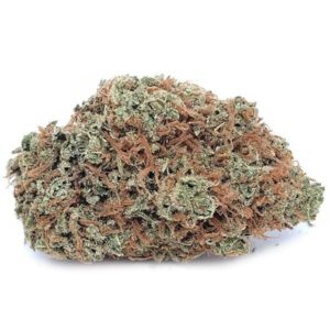 Super Lemon Haze - Exotic
