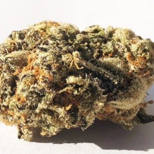Ice Cream Cake - Exotic